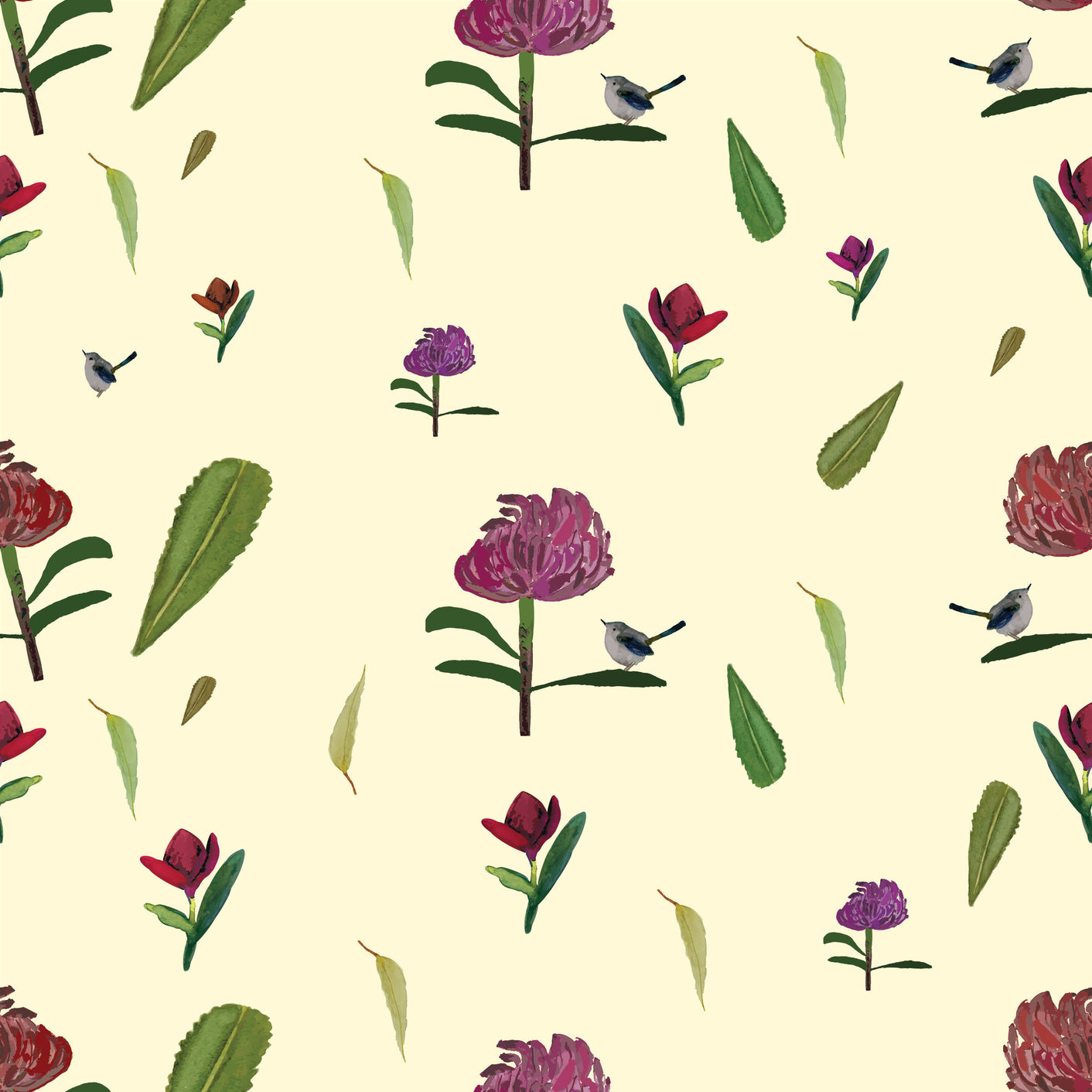 Waratah - wallpaper