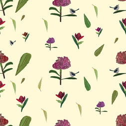 Waratah - wallpaper
