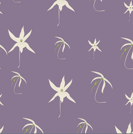 Christmas Star Orchid Wallpaper - Mauve