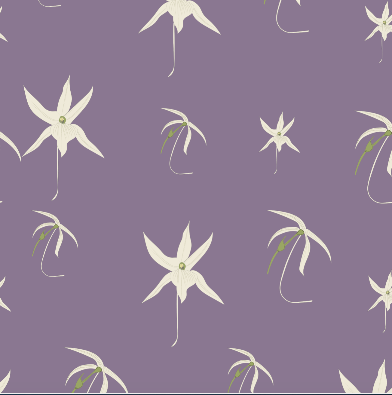 Christmas Star Orchid Wallpaper - Mauve