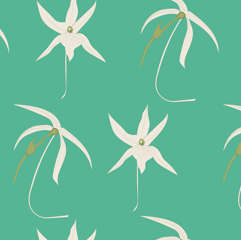 Christmas Star Orchid Wallpaper - Green